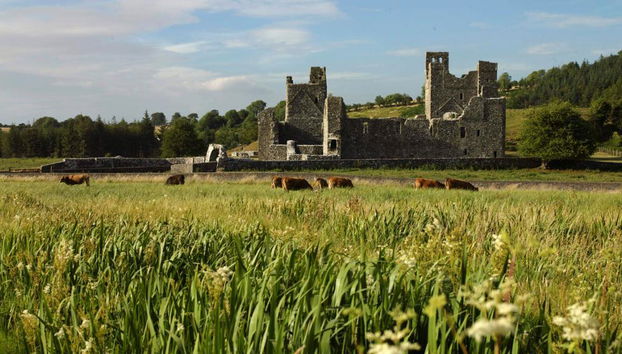 Celtic Boyne Valley Tour - Ireland's Ancient East - Photo 3